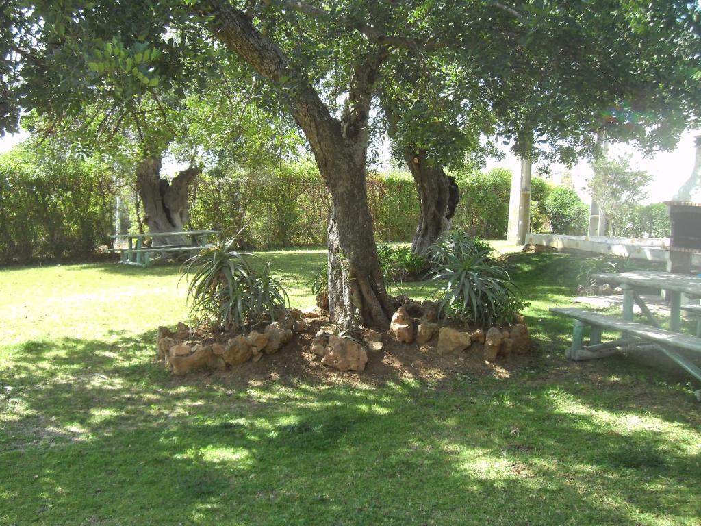 Apartament Tavira Garden Zewnętrze zdjęcie