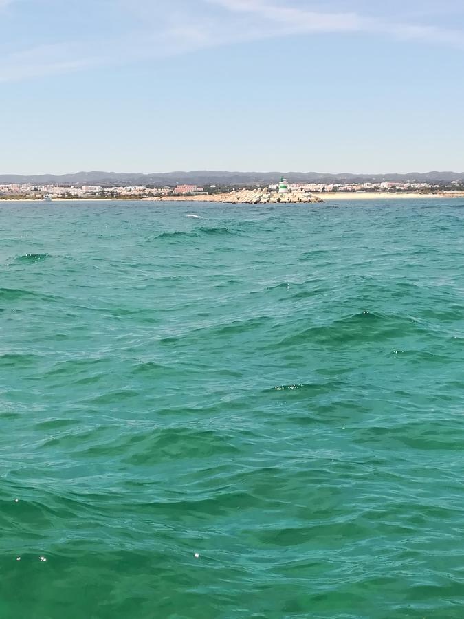 Apartament Tavira Garden Zewnętrze zdjęcie